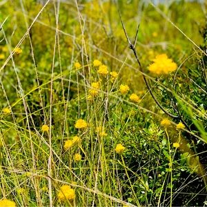 Meet your Posher, Elena